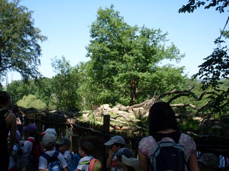Lešná 034