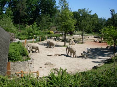 Lešná 052
