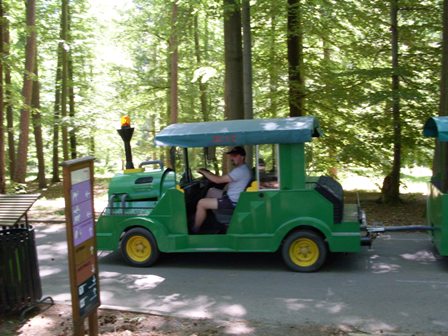 Lešná 094