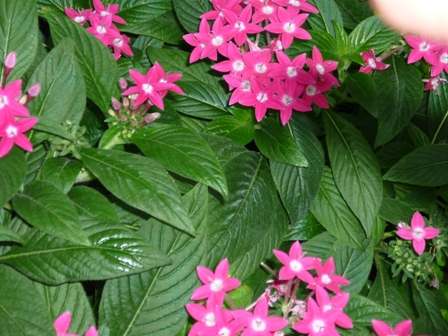 Výlet LEDNICE  2012 035